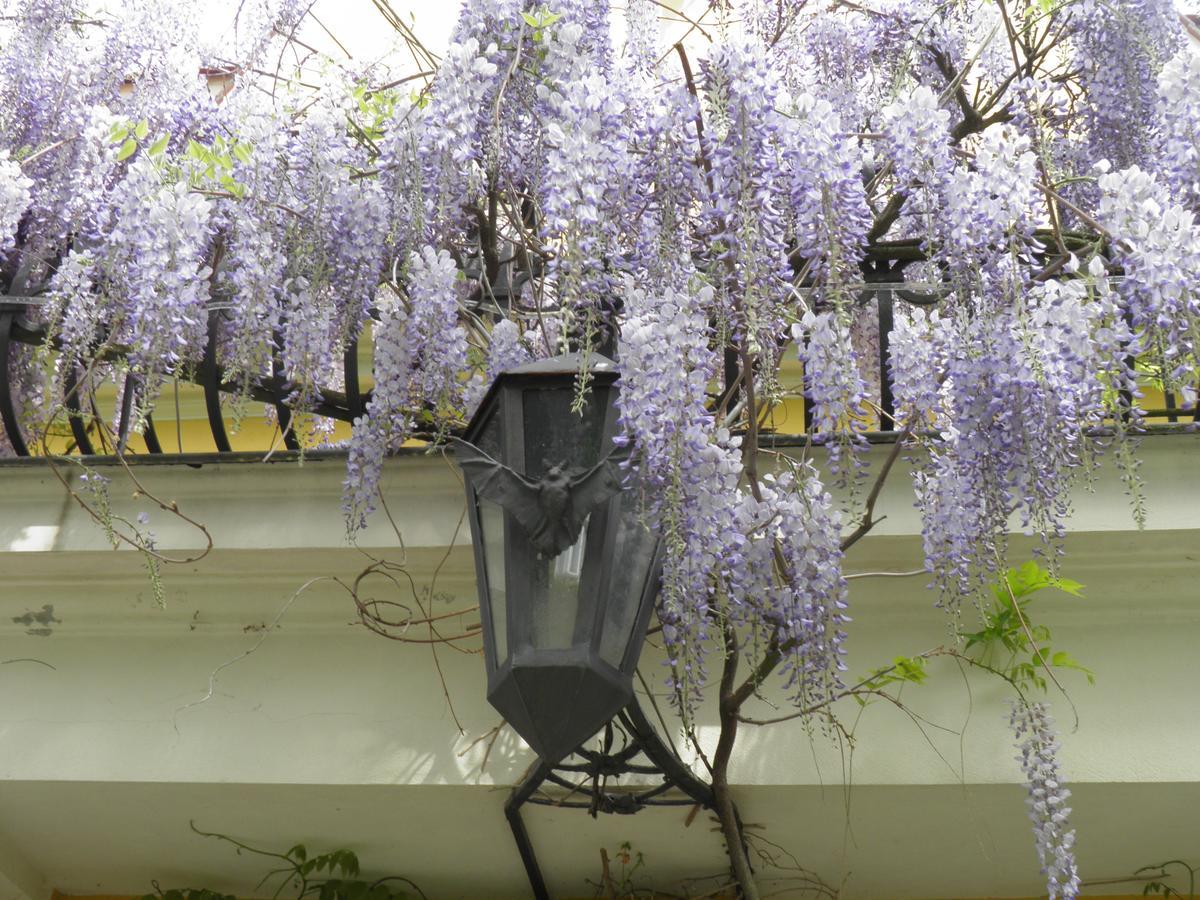 Fledermausschloss Lohsa Ngoại thất bức ảnh